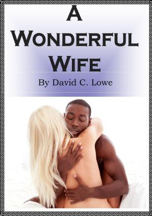 Cover of the book A Wonderful Wife by Lory La Selva Paduano