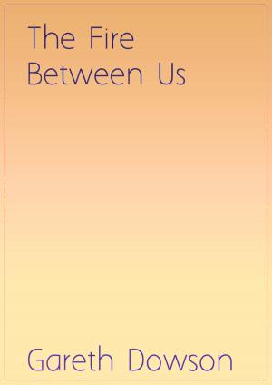 Cover of the book The Fire Between Us by Jill Bowers