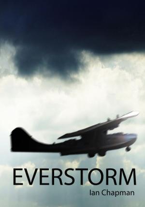 Cover of the book Everstorm by Michael Brachman