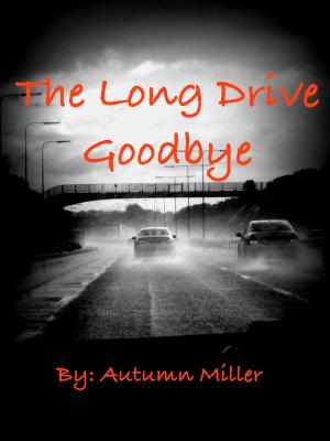 Cover of the book The Long Drive Goodbye by Edge Celize