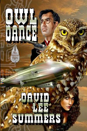 Cover of the book Owl Dance by D G Leigh