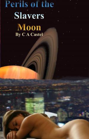Book cover of Perils Of The Slavers Moon