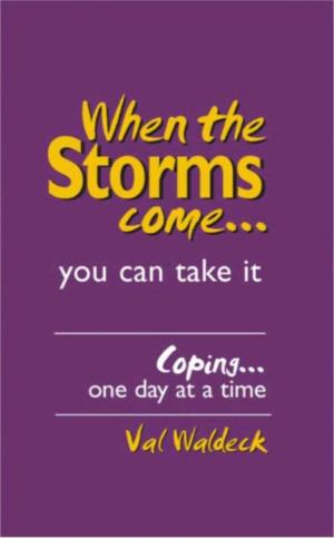 Cover of the book When The Storms Come by Sipho Mzolo