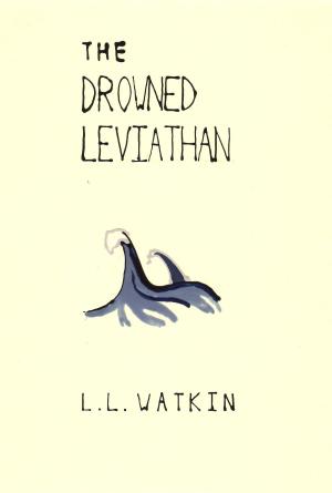 Cover of the book The Drowned Leviathan by Ramon Higgins