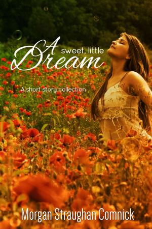 bigCover of the book A Sweet, Little Dream by 