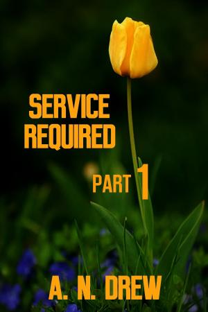 Book cover of Service Required Part 1