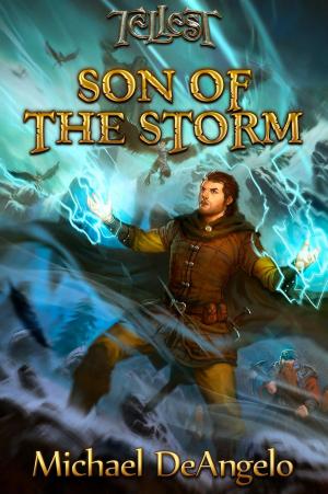 bigCover of the book Son of the Storm by 