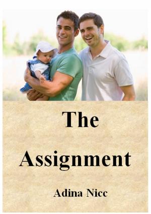Cover of the book The Assignment by Tommy Tickler