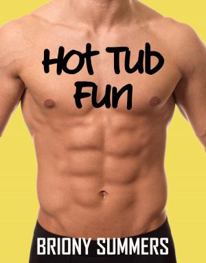 Cover of the book Hot Tub Fun by Briony Summers