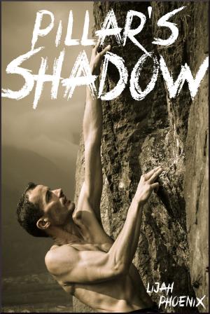 Cover of the book Pillar's Shadow by Kameron Hurley
