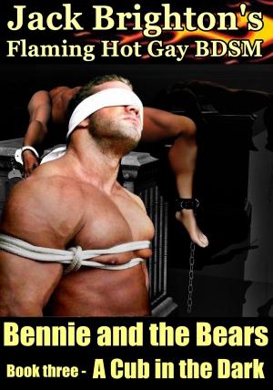 Cover of Bennie and the Bears: A Cub in the Dark