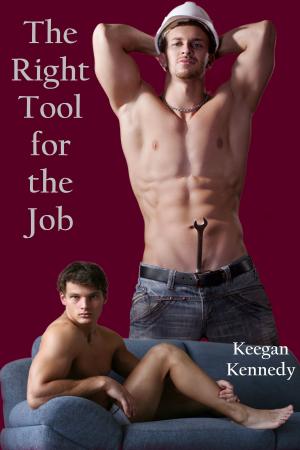 Cover of the book The Right Tool for the Job by Keegan Kennedy