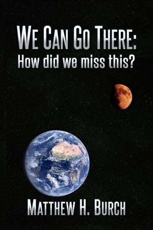 Cover of the book We Can Go There: How Did We Miss This? by Owen Cotton