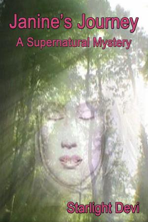 bigCover of the book Janine's Journey: A Supernatural Mystery by 