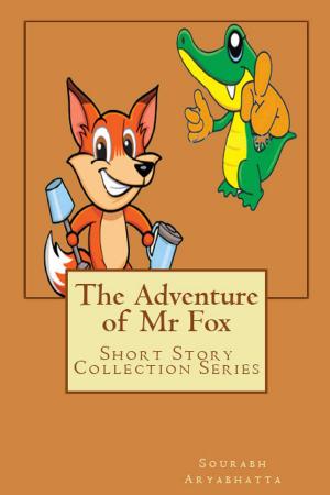 Book cover of The Adventure of Mr Fox