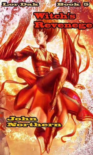 Cover of the book Lor Dak: Book 5 Witch's Revenge by John Northern