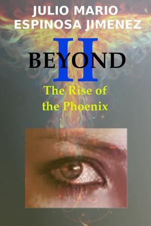 Cover of the book Beyond II: The Rise of the Phoenix. by Jerry Hanel