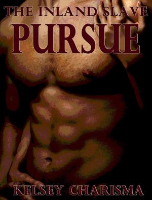 Cover of the book Pursue: The Inland Slave: Book 3 by Terin Ray