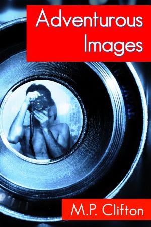 Book cover of Adventurous Images