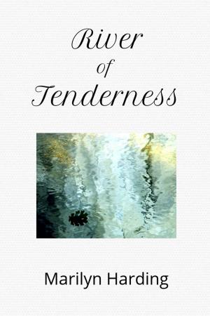 Cover of the book River of Tenderness by Josh Tickell