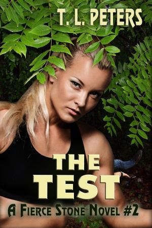 Book cover of The Test, A Fierce Stone Novel #2