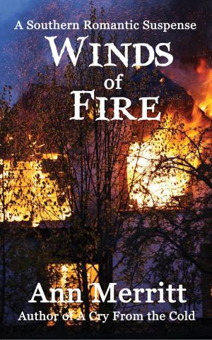Cover of the book Winds of Fire (Marsh Winds Suspenses, Book 1) by Judith Leigh