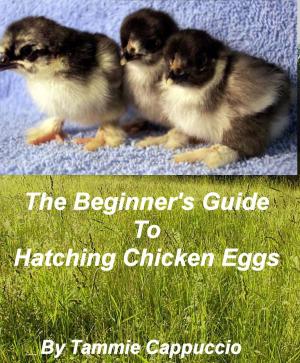 Cover of the book The Beginner's Guide to Hatching Chicken Eggs by Dennis Frankel