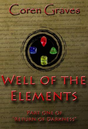 Cover of the book Well of the Elements by Raven M. Williams