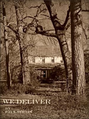 Cover of the book We Deliver by Various, David Saunderson (Ed), Andrew Garvey (Ed)