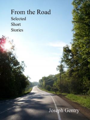 Cover of the book From the Road: Selected Short Stories by Laura Hancock