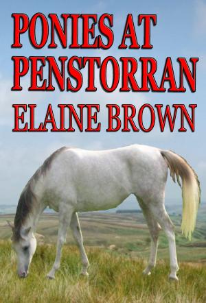 Book cover of Ponies at Penstorran