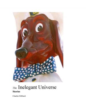 Cover of The Inelegant Universe