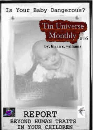 Cover of Tin Universe Monthly #16