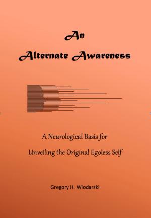 bigCover of the book An Alternate Awareness by 
