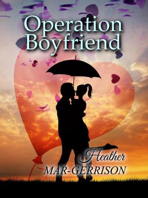 Book cover of Operation Boyfriend...