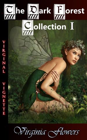 Book cover of The Dark Forest Collection I
