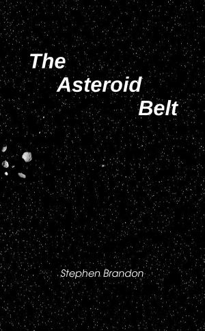 Book cover of The Asteroid Belt