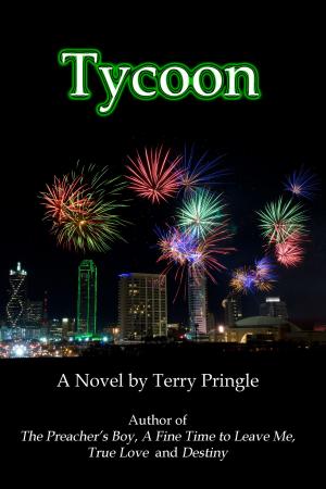 Cover of the book Tycoon by DENIS BLEMONT