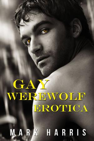Book cover of Gay Werewolf Erotica