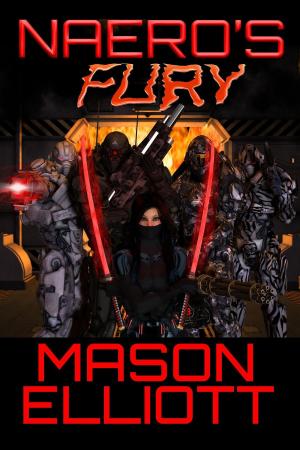 Book cover of Naero's Fury