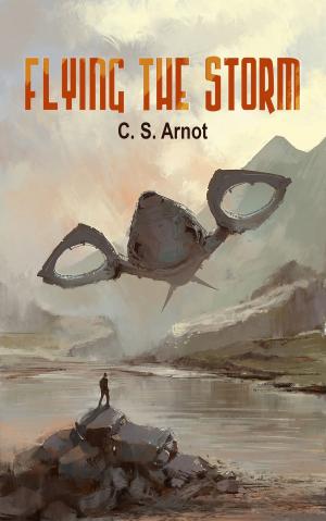Cover of the book Flying the Storm by M.J.  Moores