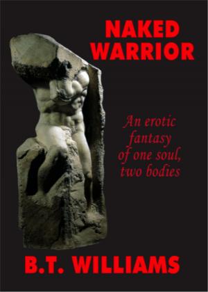 Book cover of Naked Warrior- An Erotic Fantasy of One Soul, Two Bodies