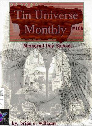 Cover of Tin Universe Monthly #16b 2014 Memorial Day Special