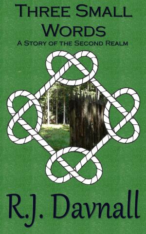 Cover of the book Three Small Words by Robert A. Hunt