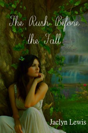 Cover of the book The Rush Before the Fall by Jennifer Anne Davis