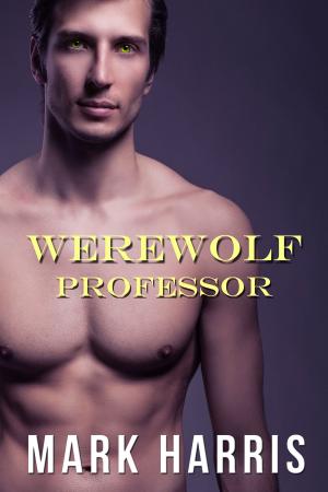 Book cover of Werewolf Professor (Gay Paranormal Erotica)