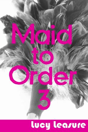 Cover of the book Maid to Order 3 by Dark Rider