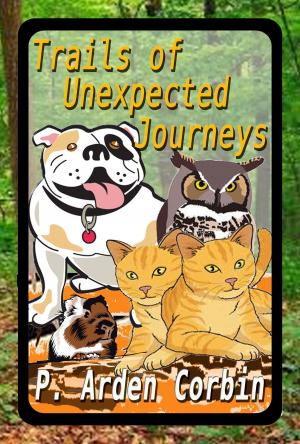 Book cover of Trails of Unexpected Journeys
