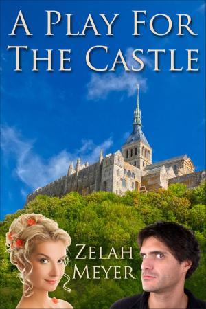 Book cover of A Play for the Castle