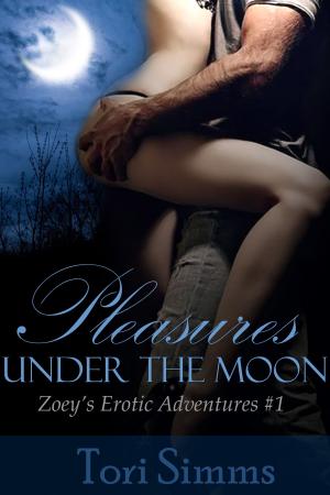 bigCover of the book Pleasures Under the Moon (Zoey's Erotic Adventures #1) by 
